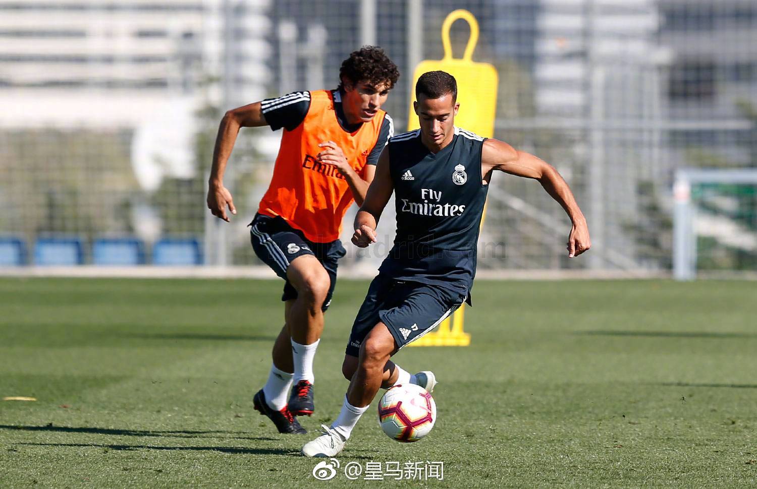 集结日塞维利亚备战欧篮联；门线救险细节曝光；震撼外界；训练强度明显提升的简单介绍